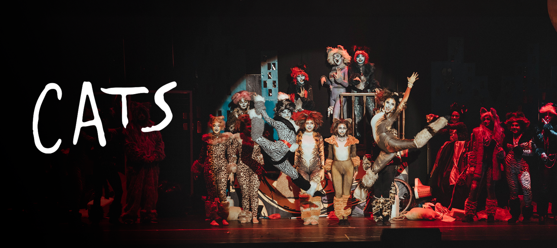 Cats - El Musical